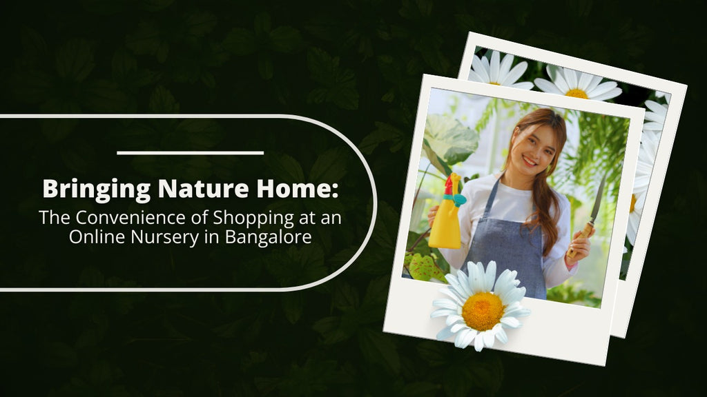 Bringing Nature Home The Convenience of Shopping at an Online Nursery