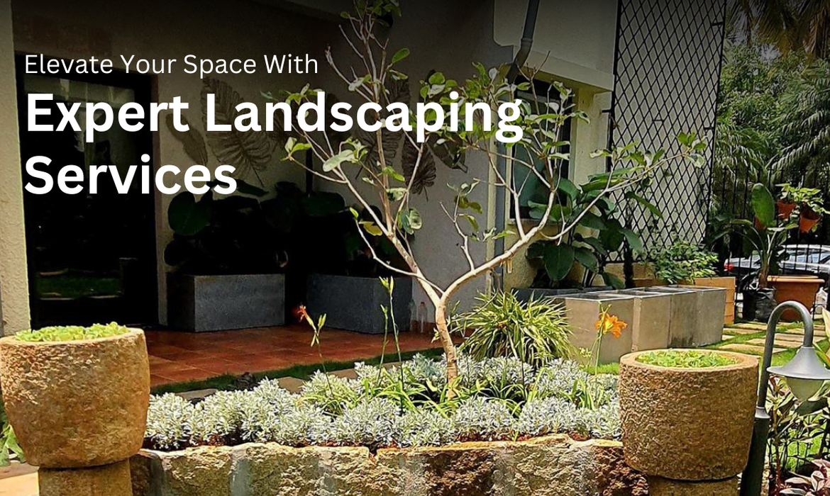 Elevate Your Space With Expert Landscape Designers