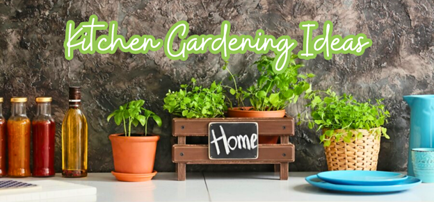 Kitchen Gardening Ideas For Your Home – Green Carpet