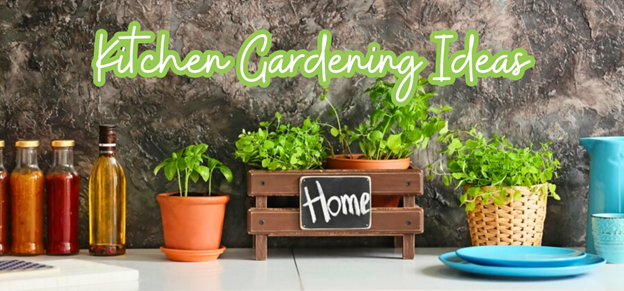 Kitchen Gardening Ideas For Your Home