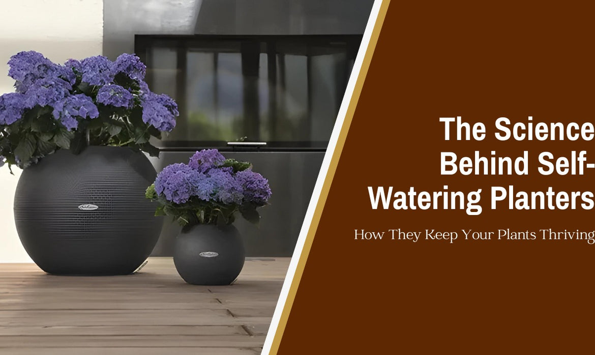 The Science Behind Self-Watering Planters: How They Keep Your Plants Thriving