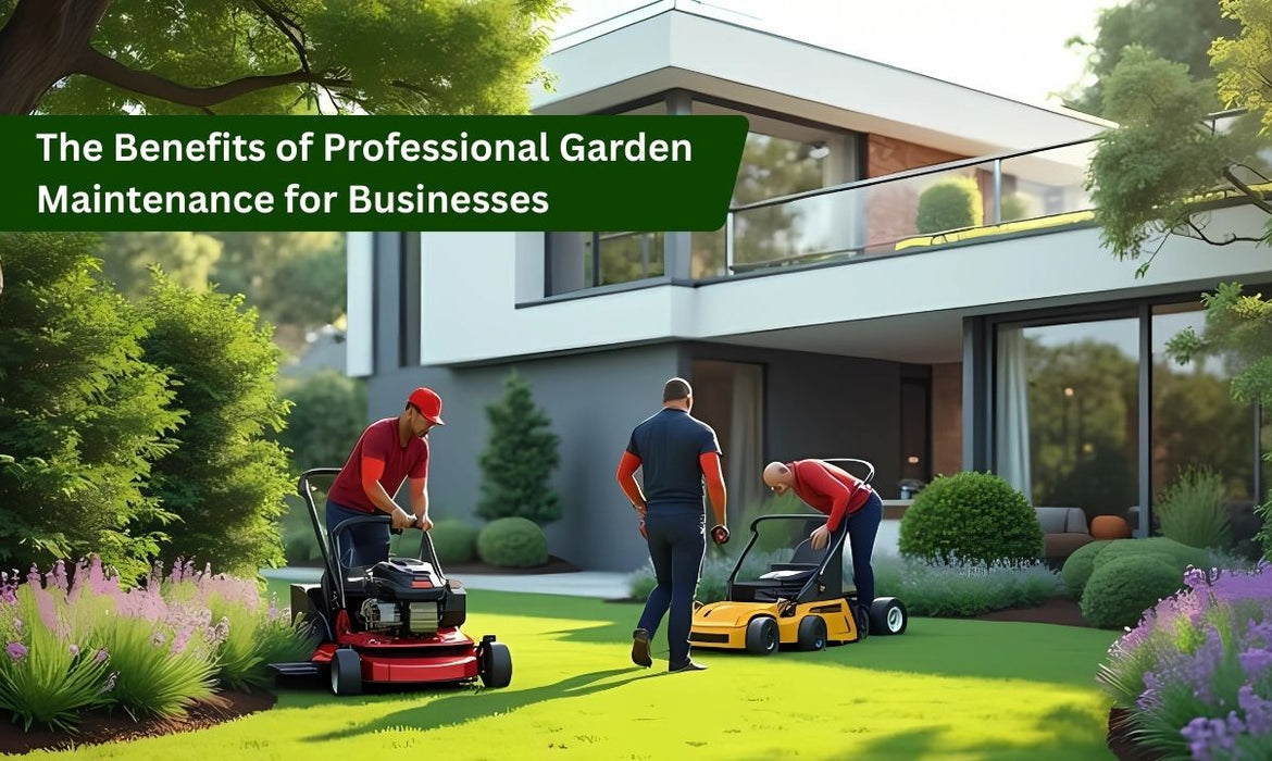 The Benefits of Professional Garden Maintenance for Businesses