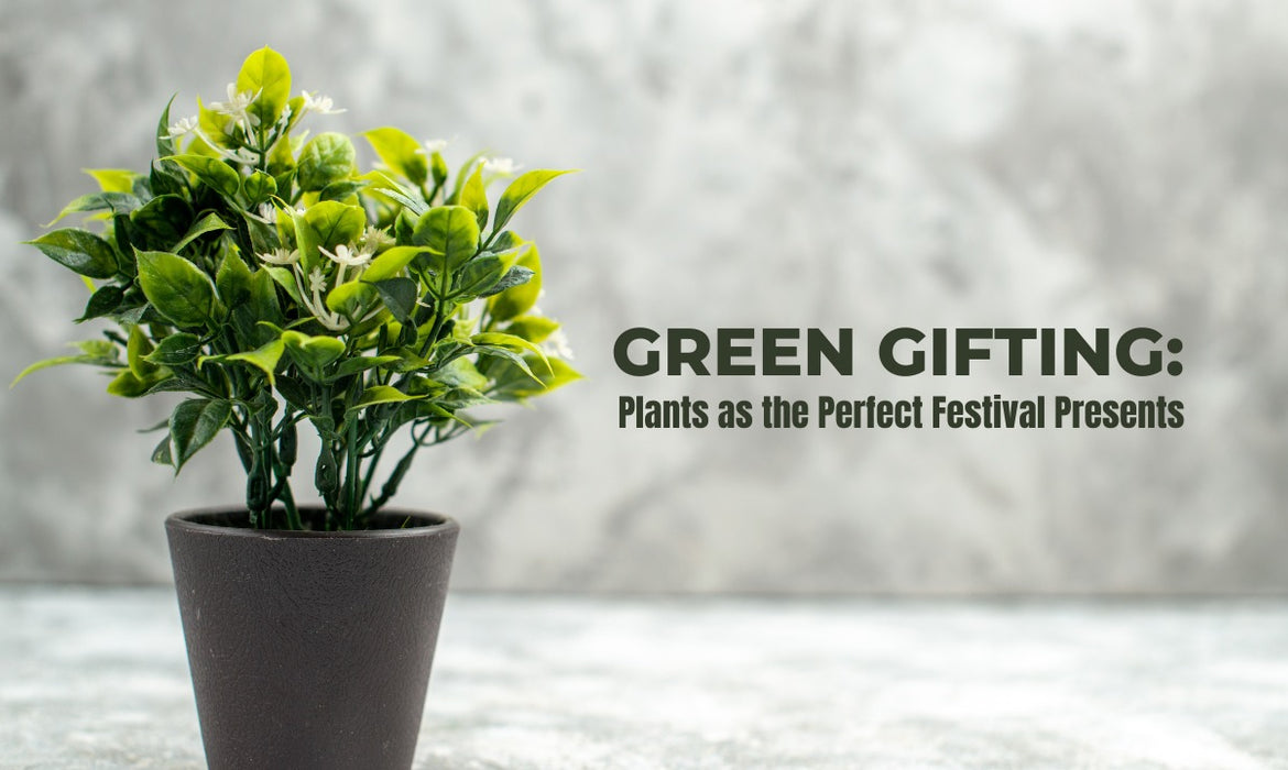 Green Gifting: Plants as the Perfect Festival Presents