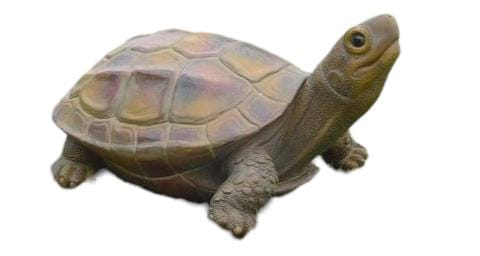 Resin Tortoise