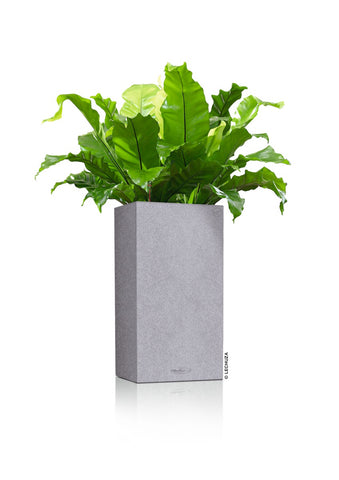 Lechuza Canto 40 High Stone Grey Self-Watering Planters