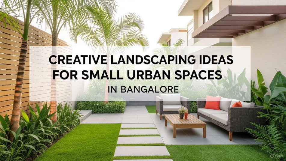 Creative Landscaping Ideas for Small Urban Spaces in Bangalore