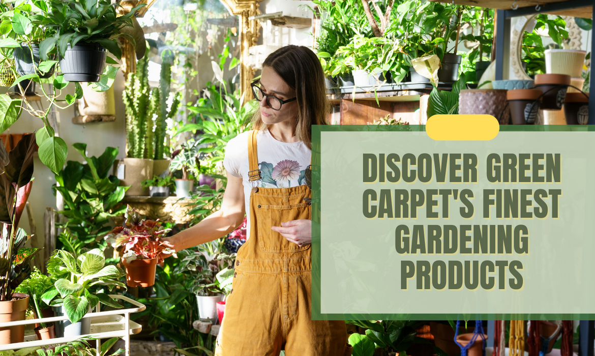 Discover Green Carpet's Finest Gardening Products