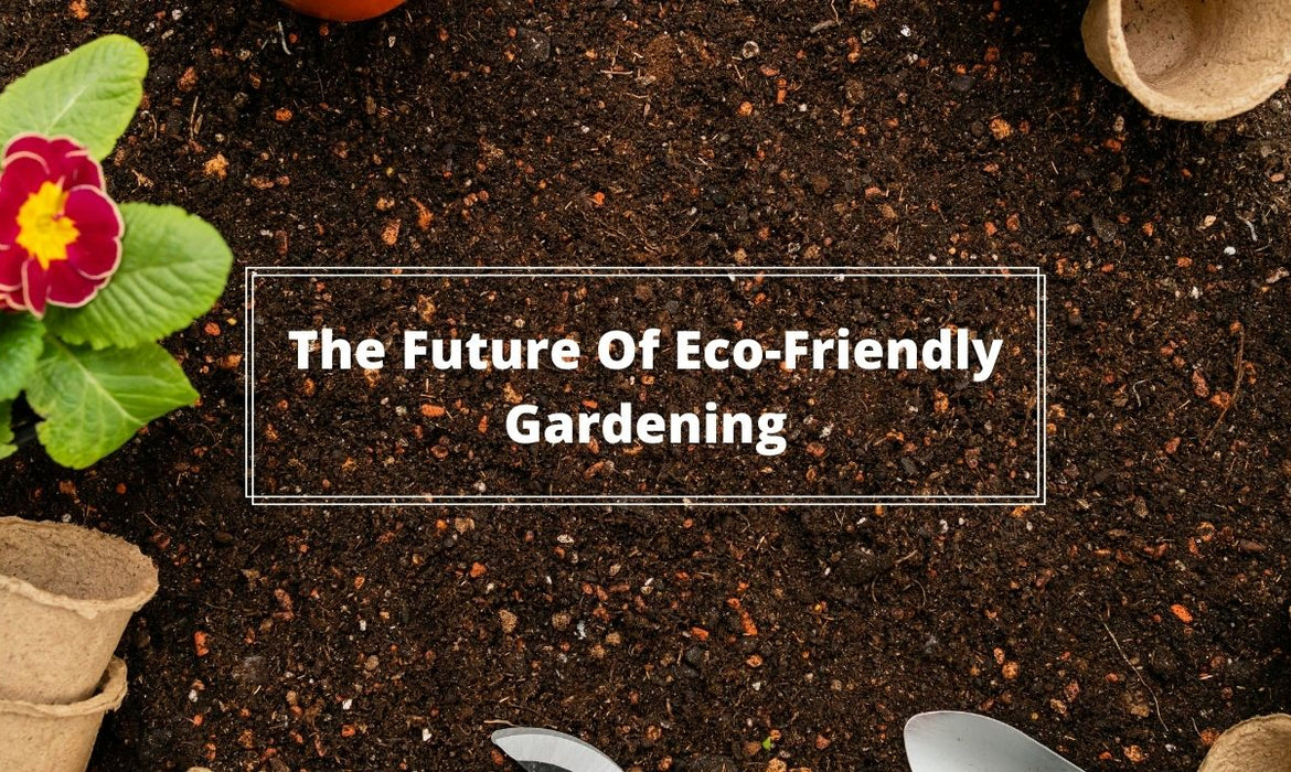 Fibre Plant Pots And The Future Of Eco-Friendly Gardening