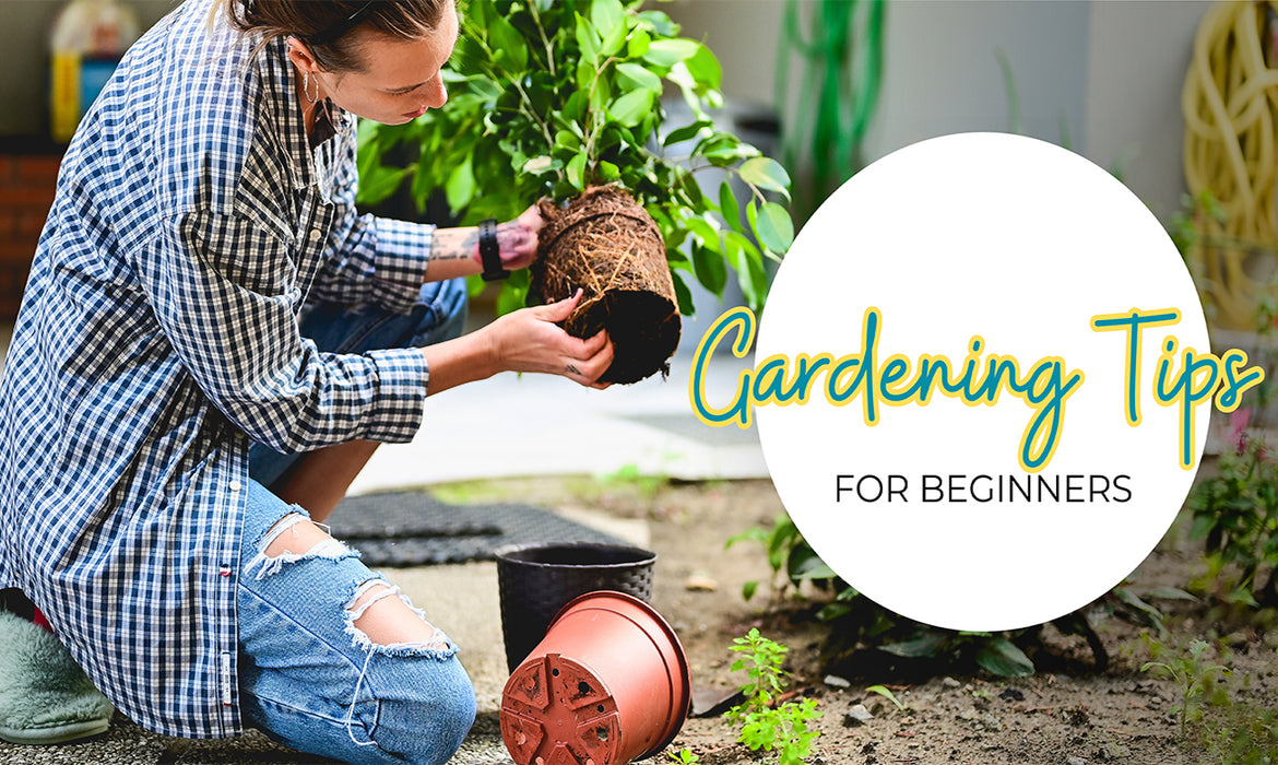 Gardening Tips For Beginners For Your Home Garden