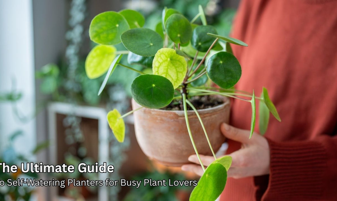 The Ultimate Guide to Self-Watering  Planters for Busy Plant Lovers