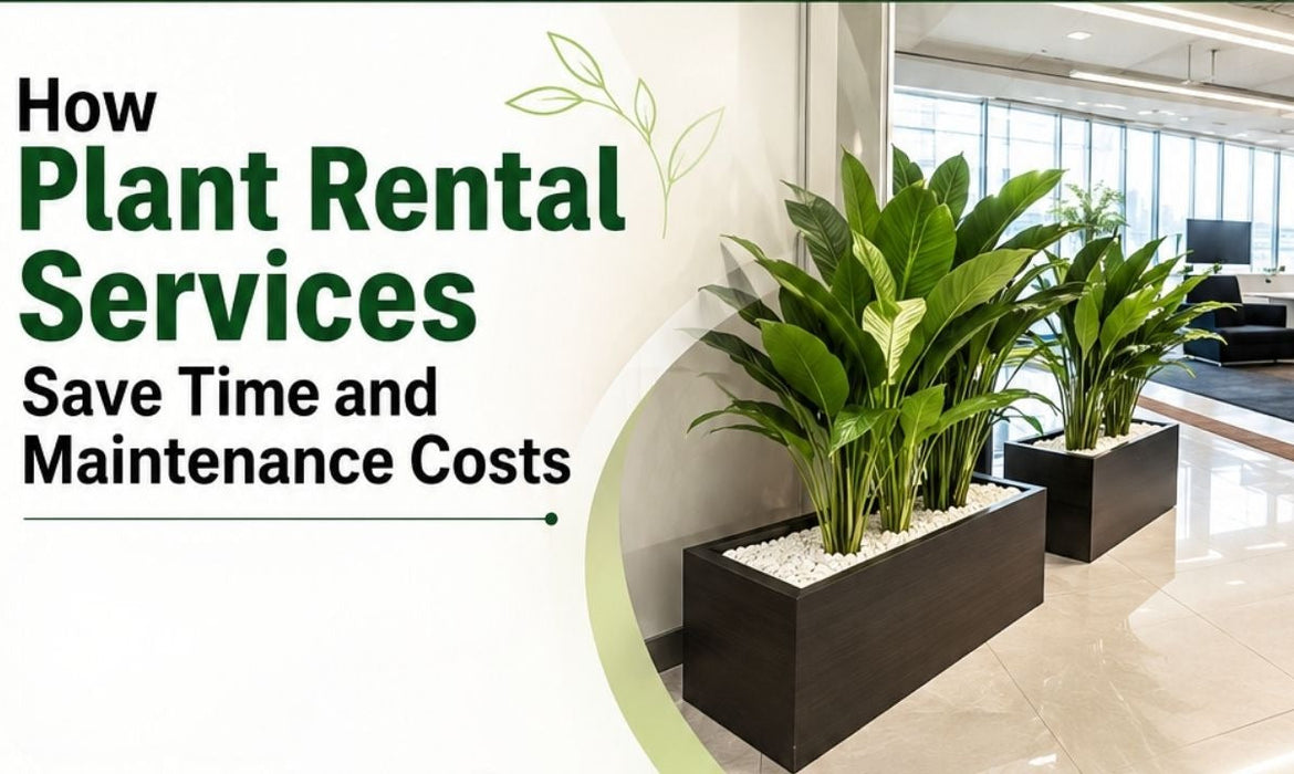 How Plant Rental Services Save Time and Maintenance Costs