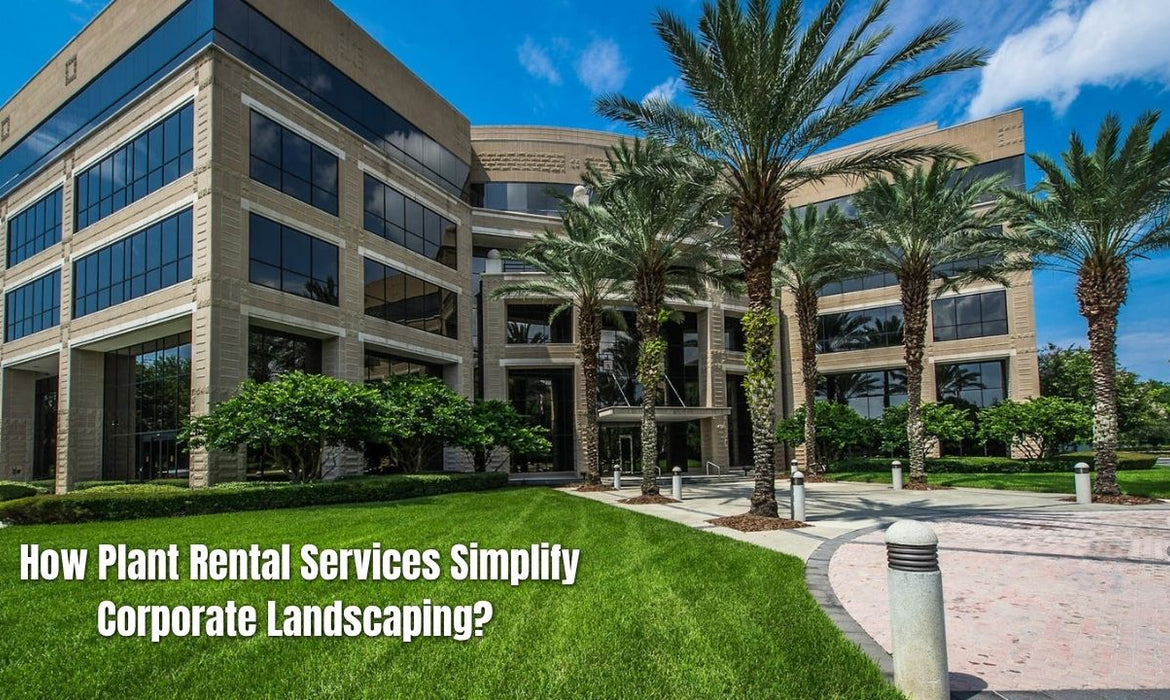 How Plant Rental Services Simplify Corporate Landscaping?