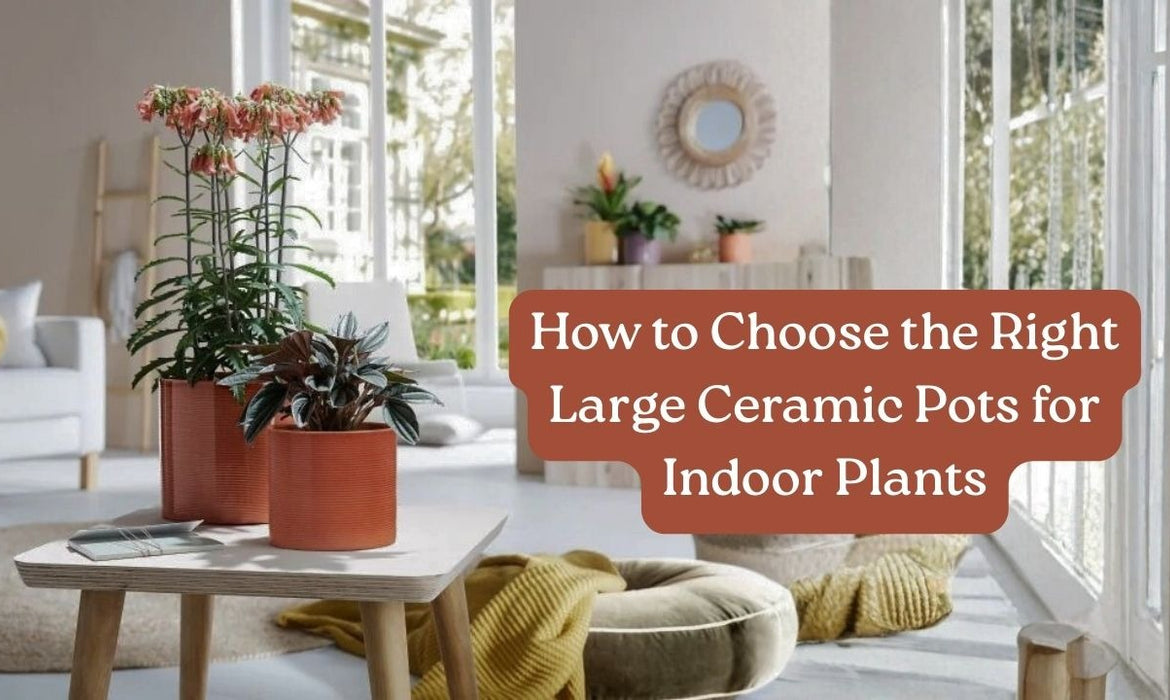 How to Choose the Right Large Ceramic Pots for Indoor Plants?