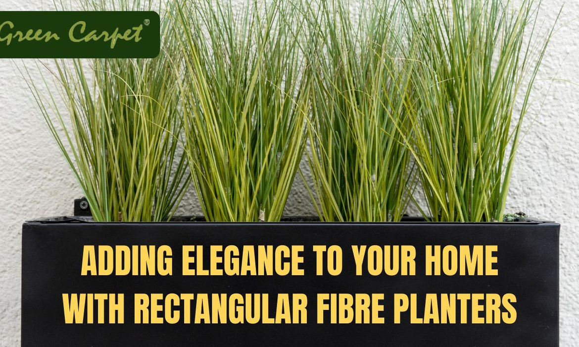 Adding Elegance to Your Home with Rectangular Fibre Planters