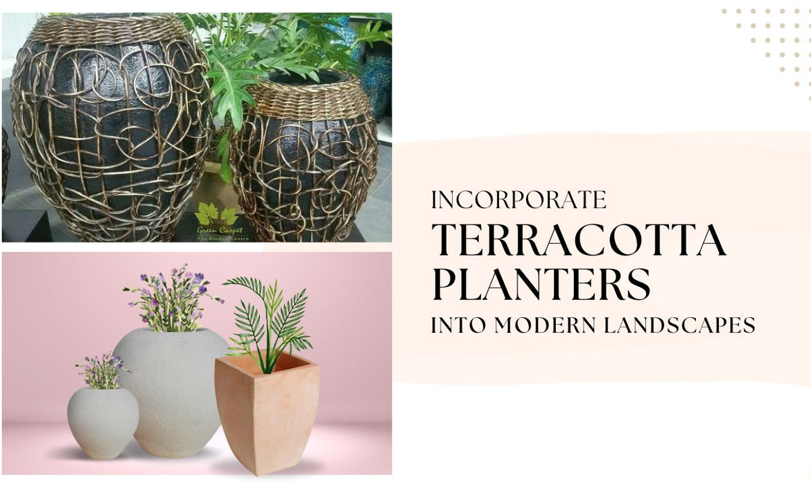 Incorporate Terracotta Planters Into Modern Landscapes