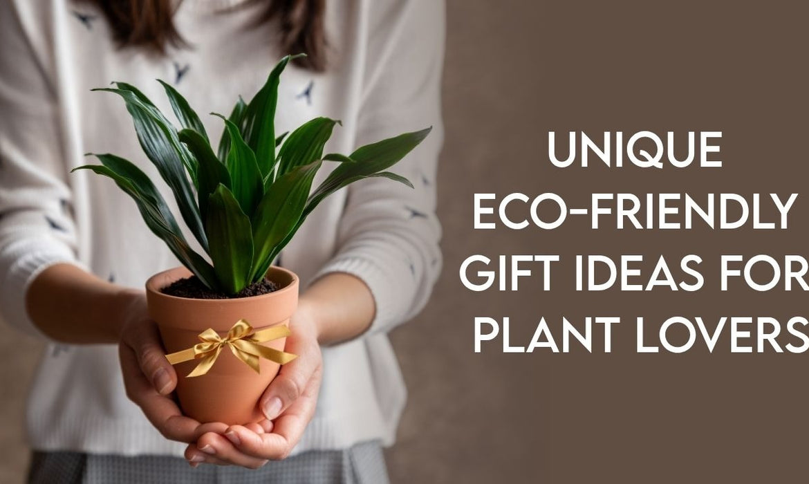 Unique Eco-Friendly Gift Ideas for Plant Lovers