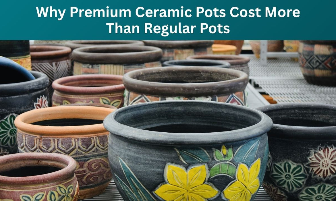 Why Premium Ceramic Pots Cost More Than Regular Pots?