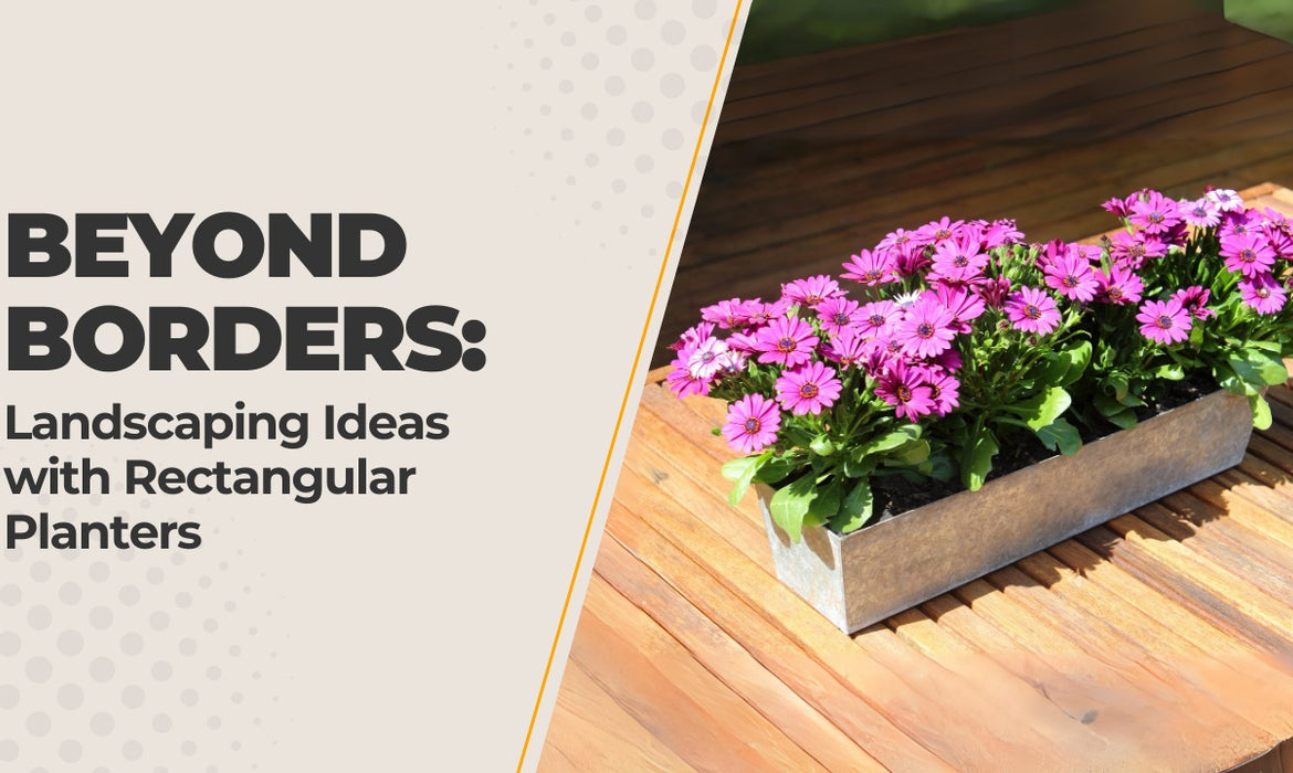 Beyond Borders: Landscaping Ideas with Rectangular Planters