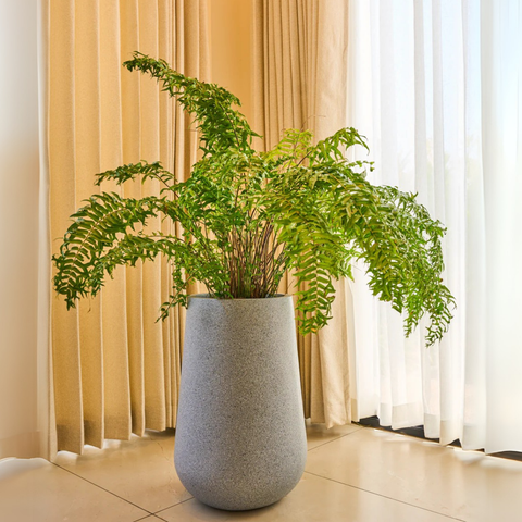Rony FRP Planter