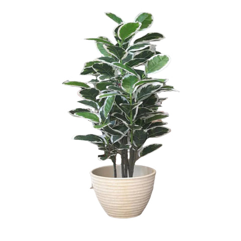 Artificial Rubber Plant 5ft