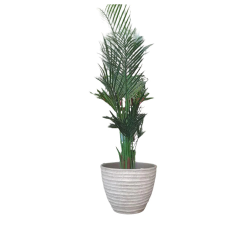 Artificial Palm Plant 4ft Tall