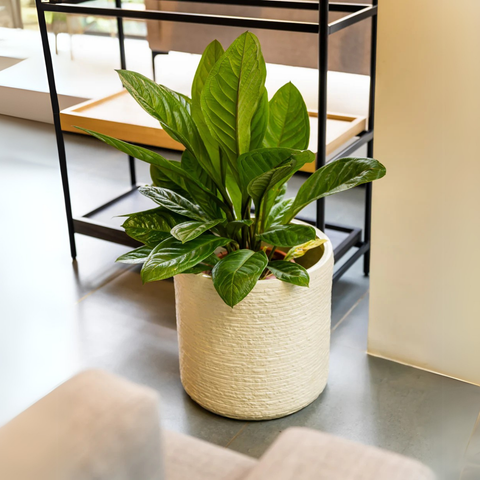 Marley FRP Floor Planter Pot
