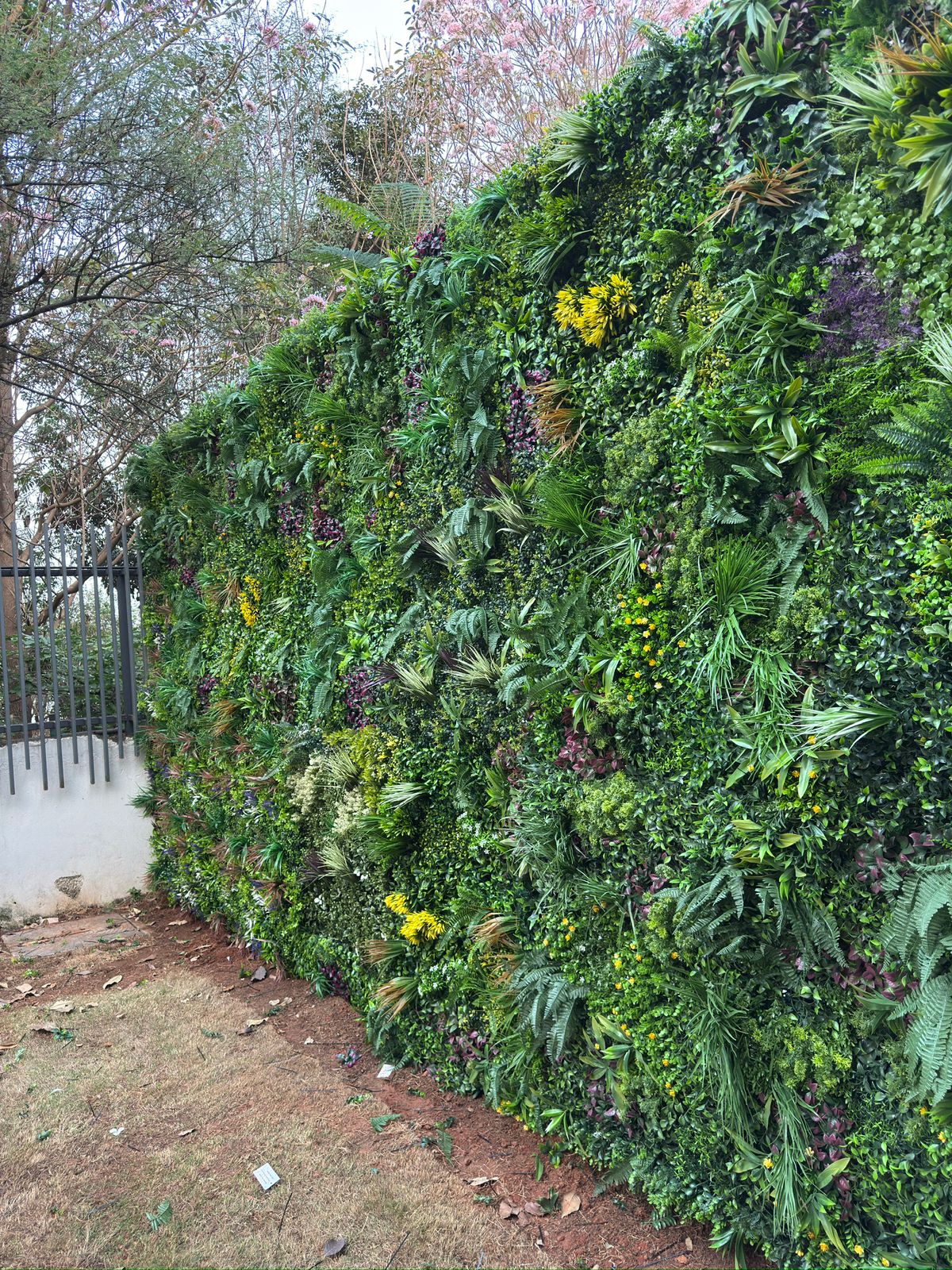 Single Banner Images