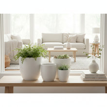 Fibre Pots_CLASSIC SERIES