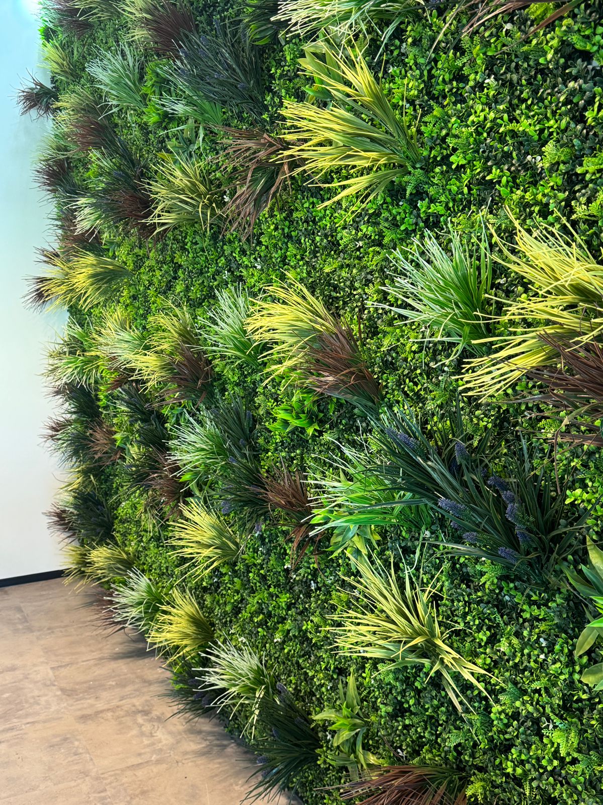 Single Banner Images