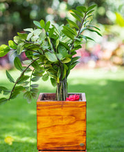 Wooden Square Medium Planter