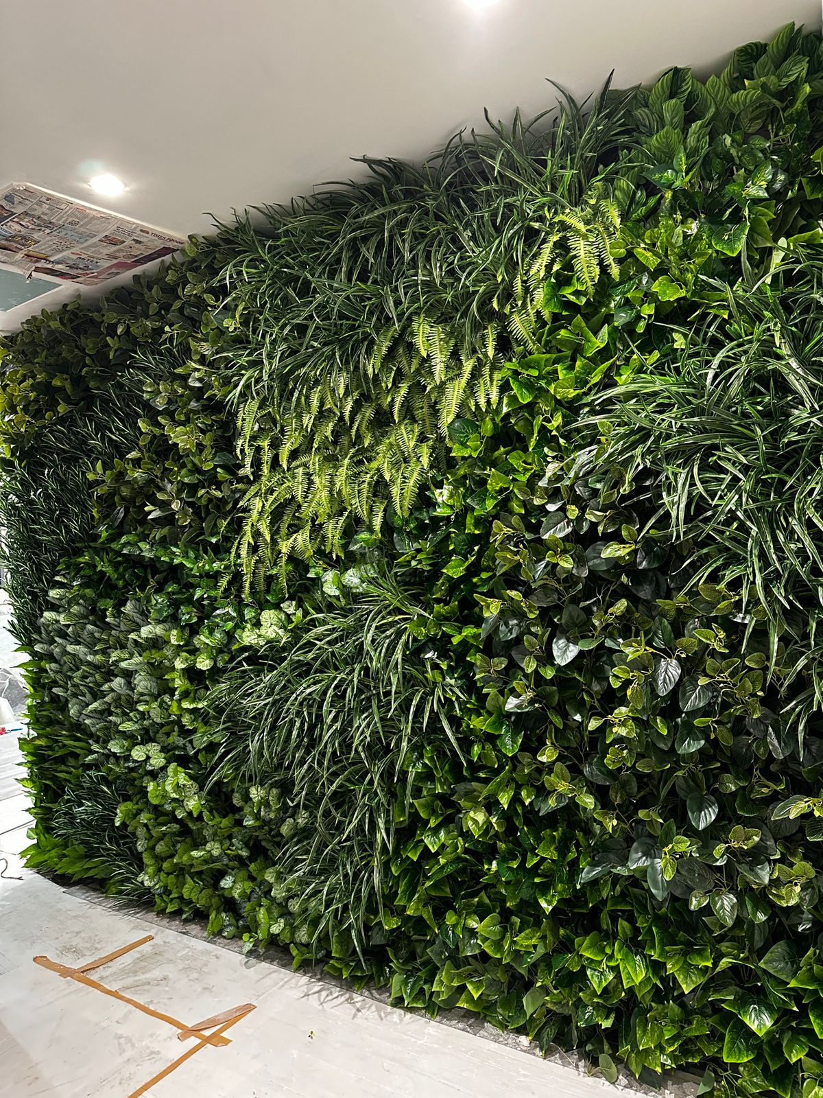 Single Banner Images