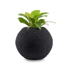 Cosmos Round FRP Planter