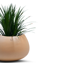 Clover FRP Rough Texture Planter