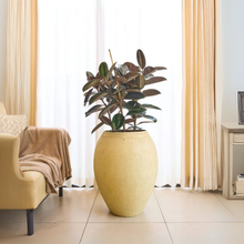 Urn Large Circular Planter