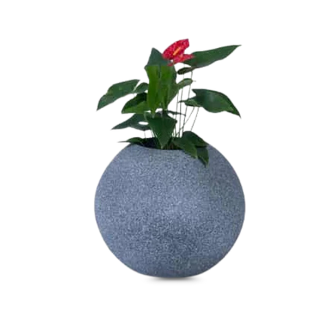 Circle of Life Desk Planter