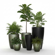 Fibre Pots_ROLLO -SERIES