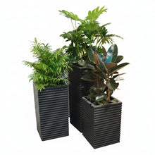 Fibre Pots_Sq-String