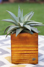 Wooden Square Medium Planter