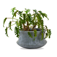 Galileo Rustic Planter