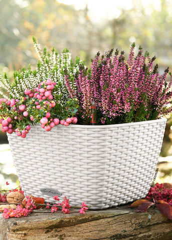 Lechuza Bacino Cottage White Self- Watering Planter