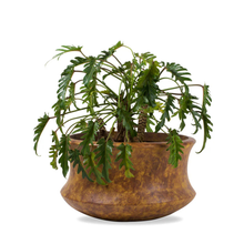 Galileo Rustic Planter