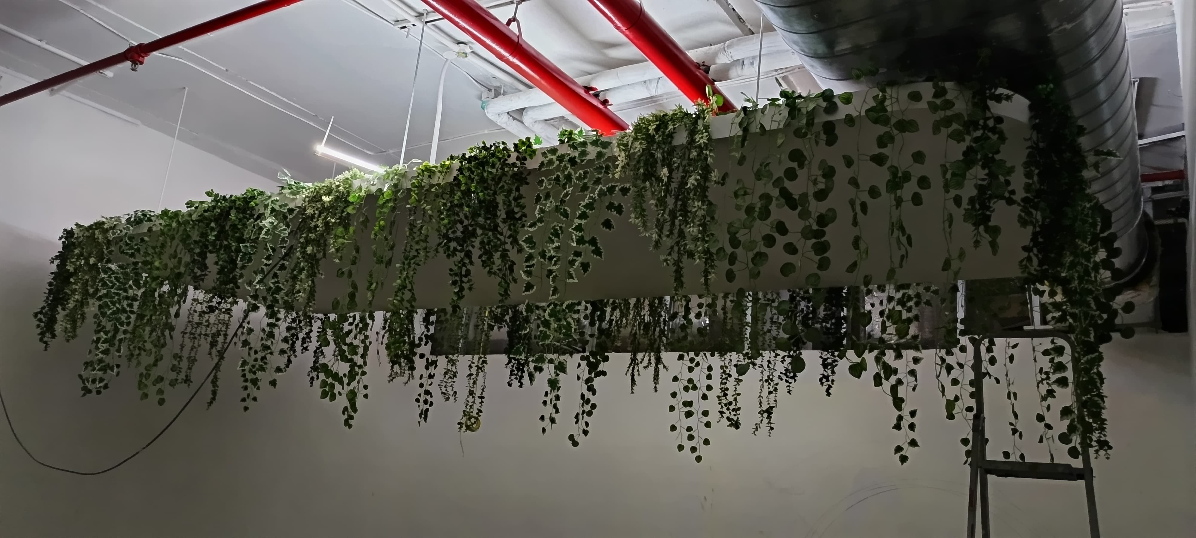 Single Banner Images