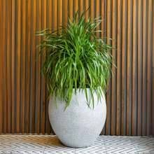 Cora FRP Round Planter