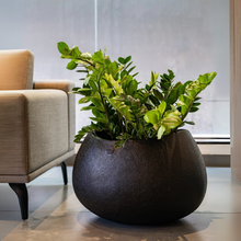 Clover FRP Rough Texture Planter