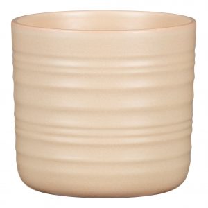Ceramic  Pot Dry Reed (850)
