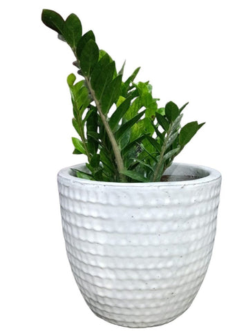 Ceramic Pot White  (1096)
