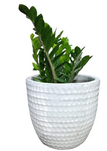 Ceramic Pot White  (1096)