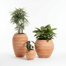 Fibre Pots_Wave Barrel