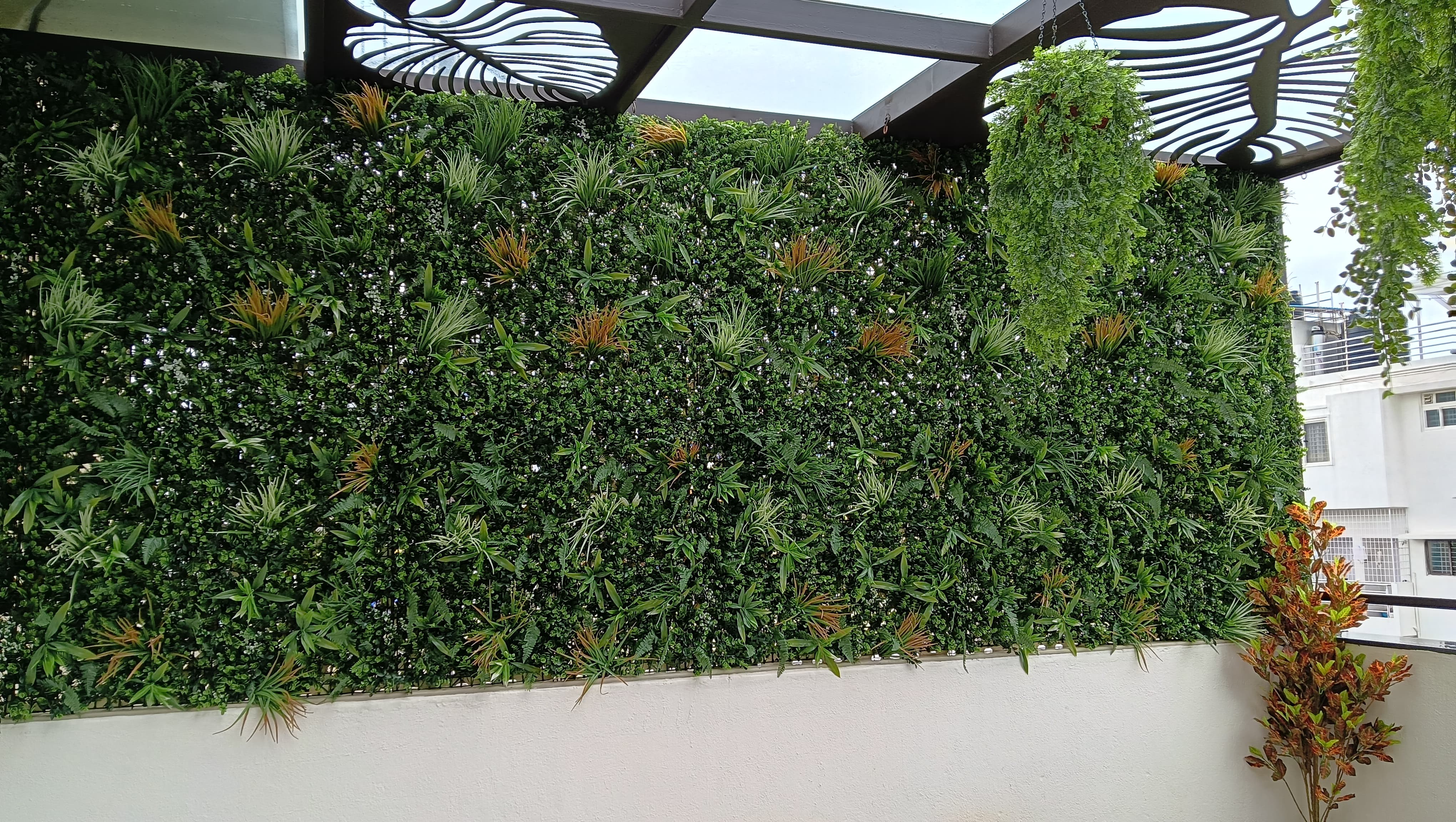 Single Banner Images