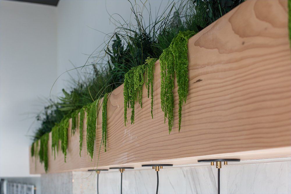 Single Banner Images